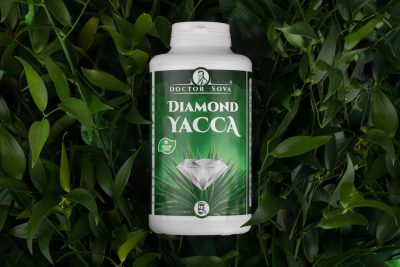 DIAMOND YACCA doctor sova® 280 kapsúl 